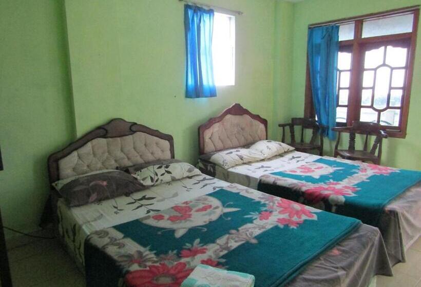 ホテル Penginapan Melati Sarangan