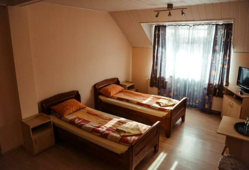 酒店 President Cugir