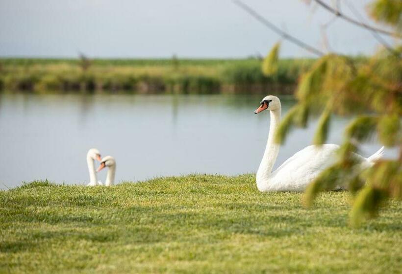 Отель Serenity Resort