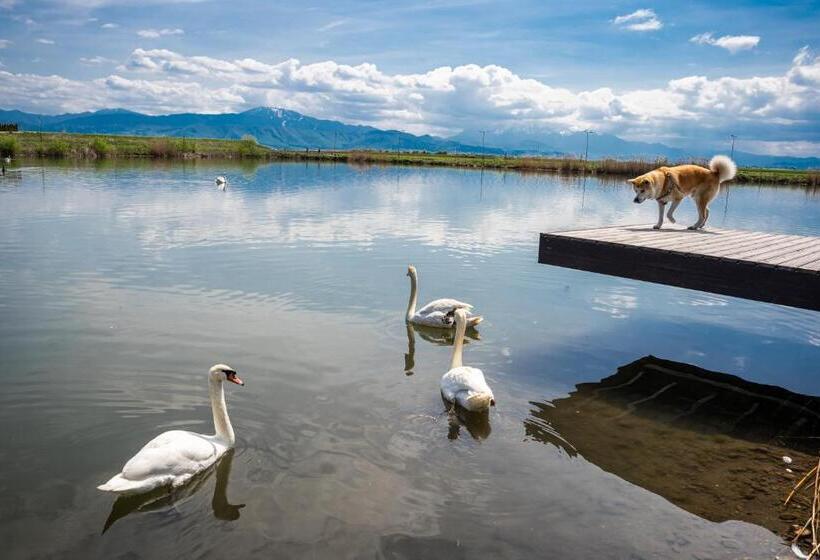 Отель Serenity Resort