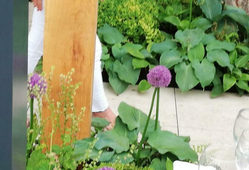 פנסיון 1 Bed Studio