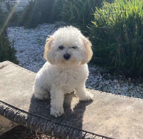 פנסיון Burradoo Studio