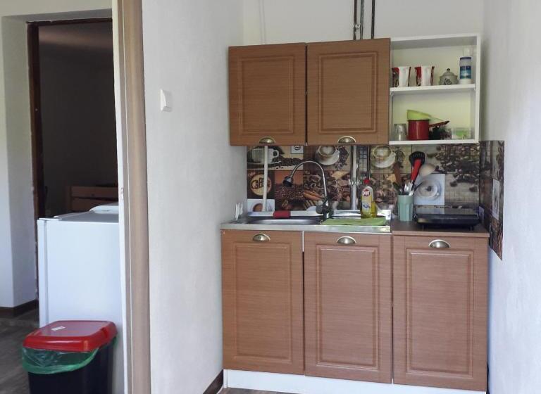 Пансион Casa Victoria Anina