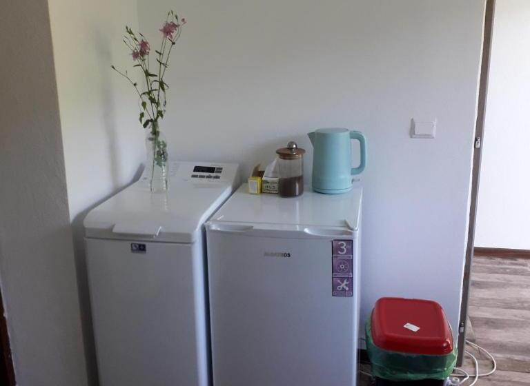 Пансион Casa Victoria Anina