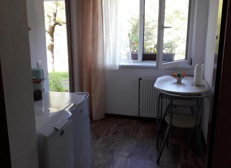 Пансион Casa Victoria Anina