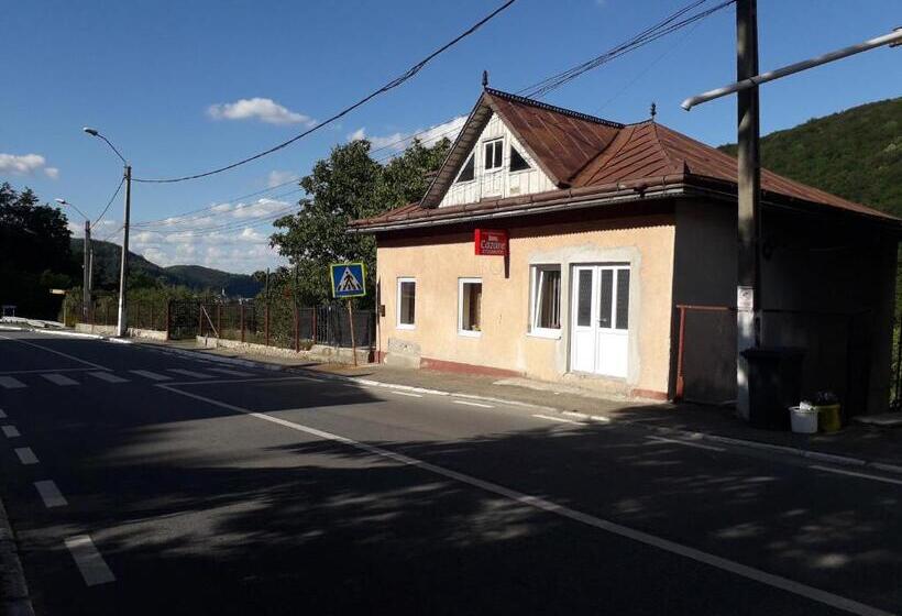 Пансион Casa Victoria Anina