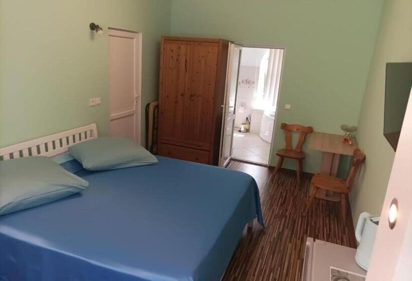 Пансион Casa Victoria Anina