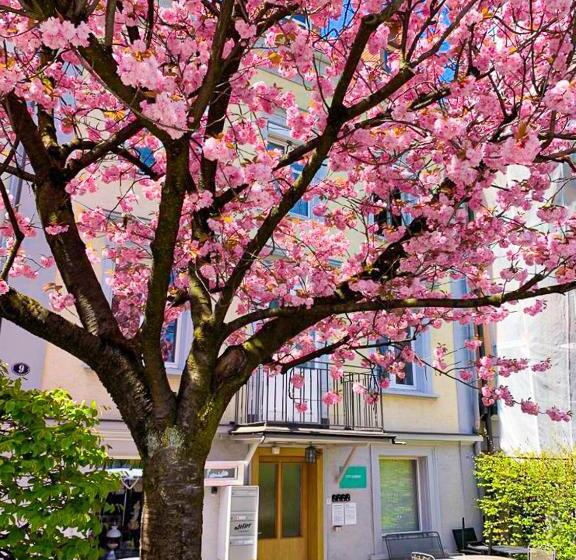 Пансион Citylodge St Gallen 2 Min To Marktplatz