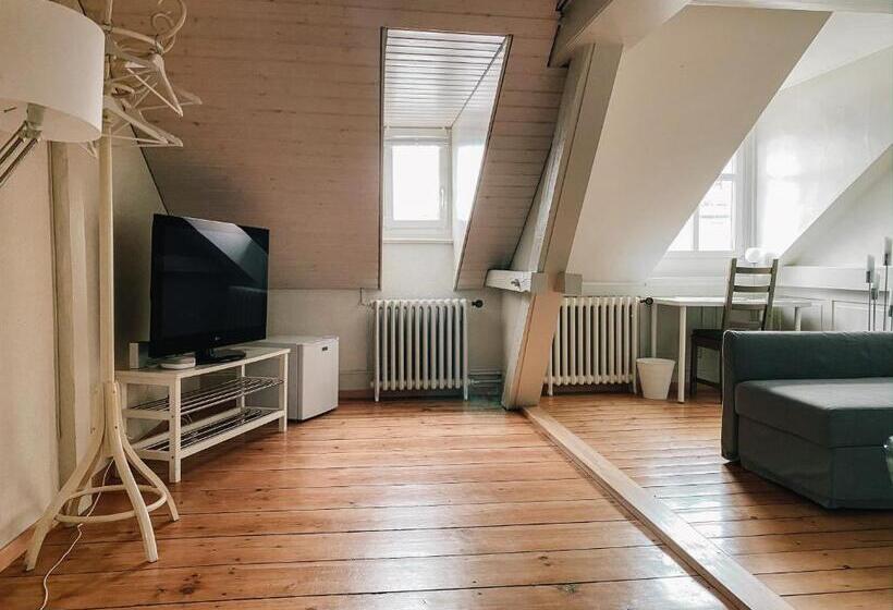 Пансион Citylodge St Gallen 2 Min To Marktplatz