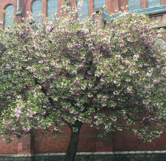 Пансион Coquelicot