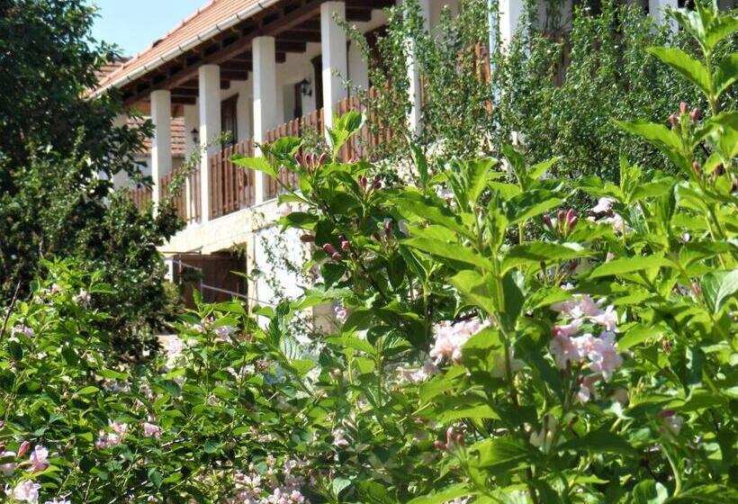 膳宿费 Hegyaljai Panoráma Vendégház