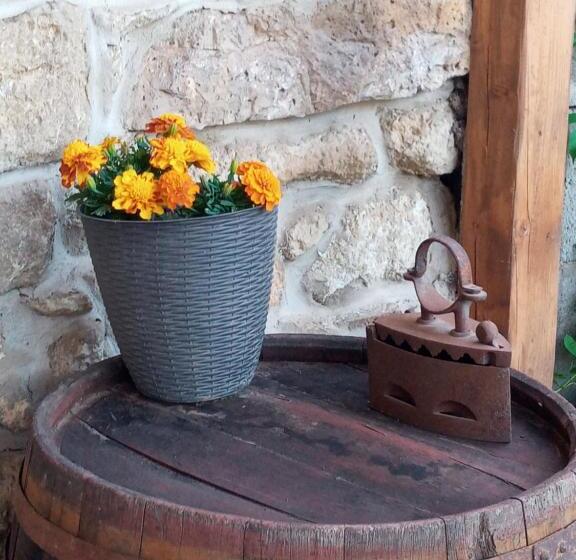 膳宿费 Hegyaljai Panoráma Vendégház