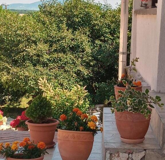 膳宿费 Hegyaljai Panoráma Vendégház