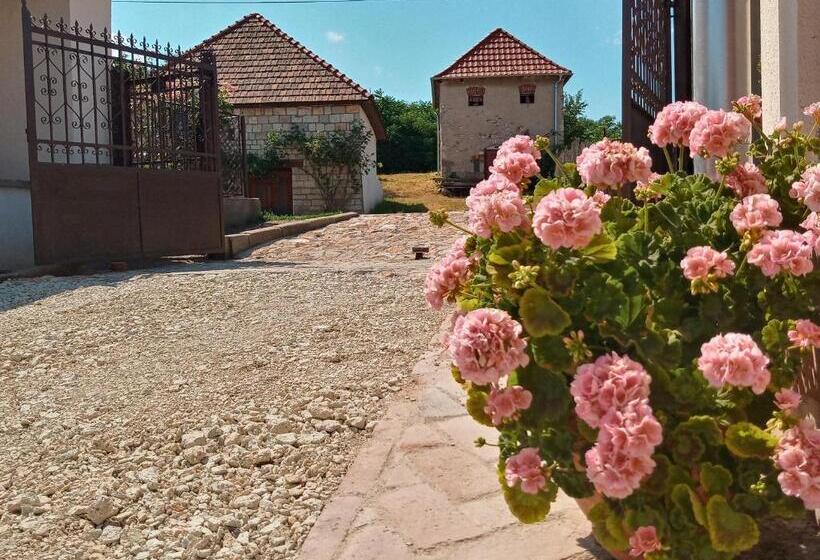 膳宿费 Hegyaljai Panoráma Vendégház