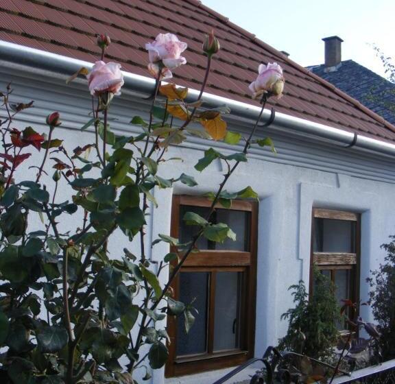 膳宿费 Hegyaljai Panoráma Vendégház