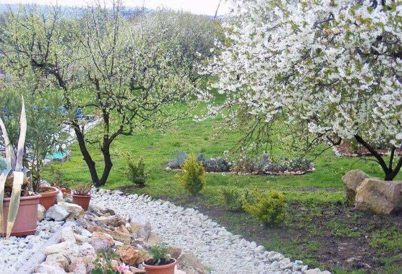 膳宿费 Hegyaljai Panoráma Vendégház