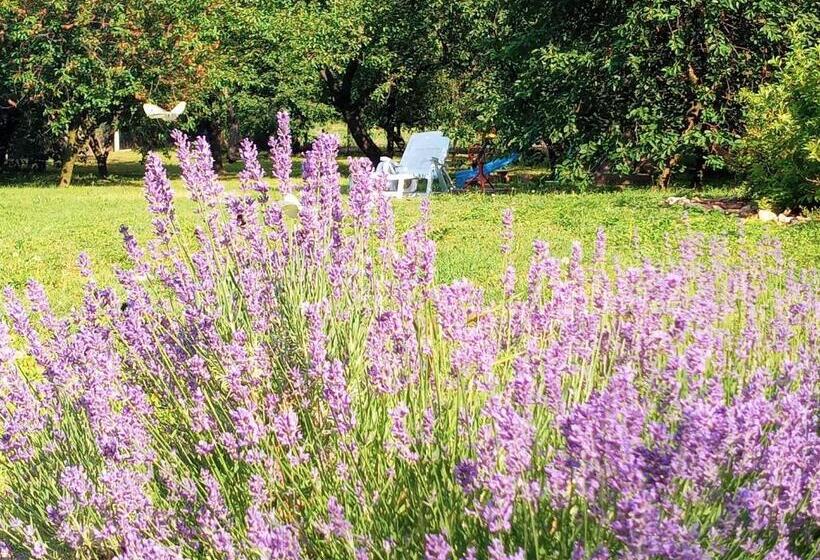 膳宿费 Hegyaljai Panoráma Vendégház