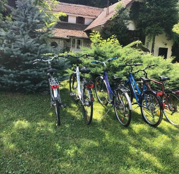 بنسيون Iedera Casa De Familii 2