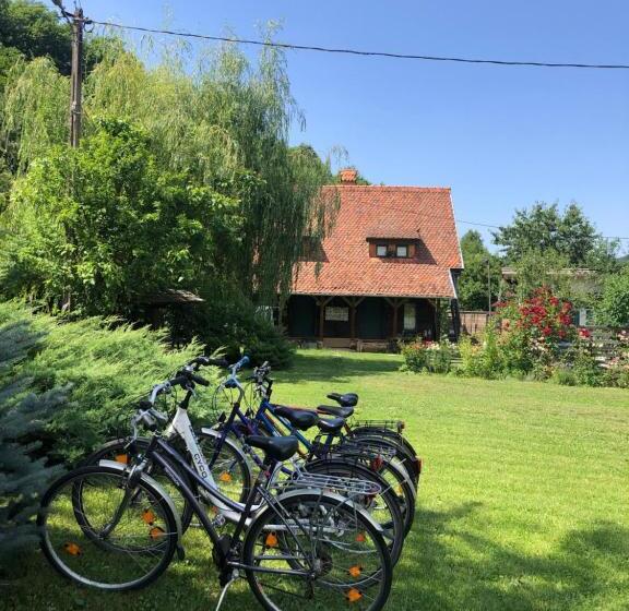 بنسيون Iedera Casa De Familii 2