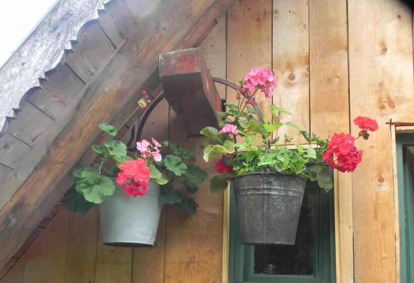 بنسيون Iedera Casa De Familii 2