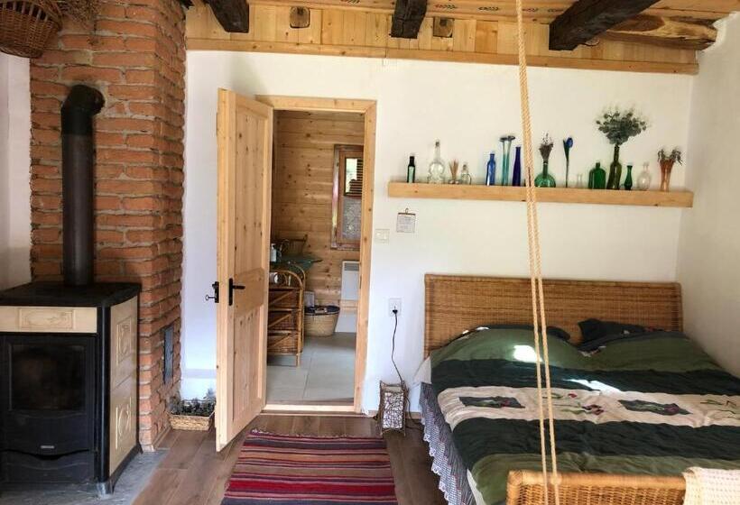 بنسيون Iedera Casa De Familii 2