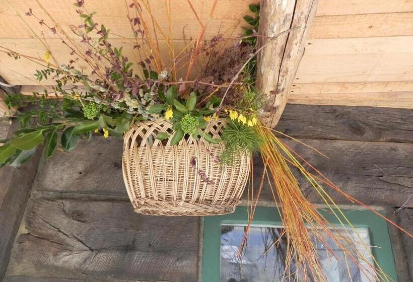 بنسيون Iedera Casa De Familii 2