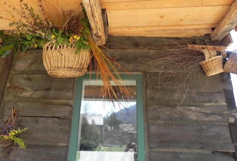 بنسيون Iedera Casa De Familii 2