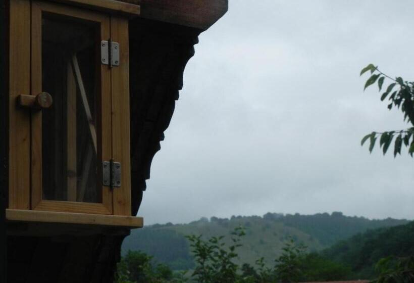 بنسيون Iedera Casa De Familii 2