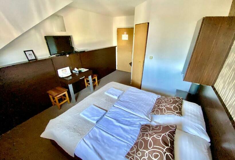 بنسيون Penzión Domes