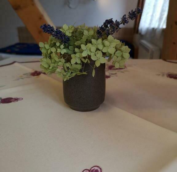 ペンション Penzion U Našich