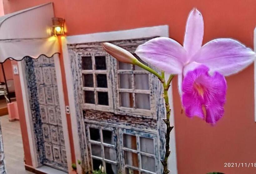 膳宿费 Pousada Oceano E Mar