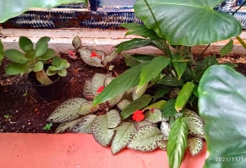 膳宿费 Pousada Oceano E Mar