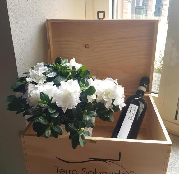 Perfect Night Bed & Breakfast