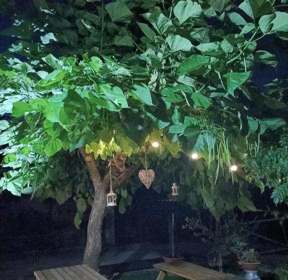 Agriturismo Macchia Dei Briganti   B&b