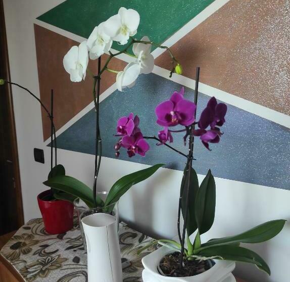 B&b Gli Amici Del Tubarello