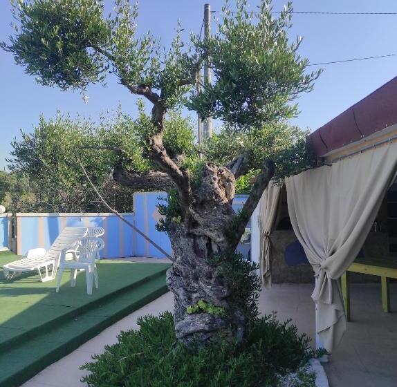 B&b Gli Amici Del Tubarello