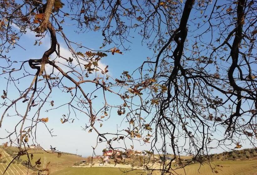 B&b Gli Amici Del Tubarello