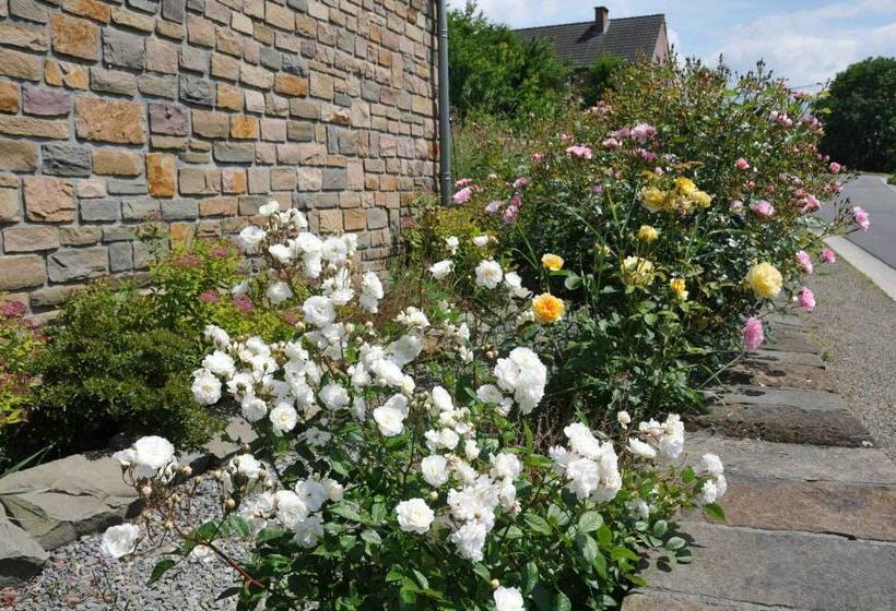 ベッドアンドブレックファースト La Source Du Broly