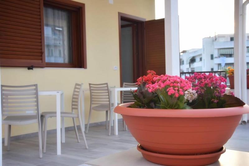 تختخواب و صبحانه Matteosky