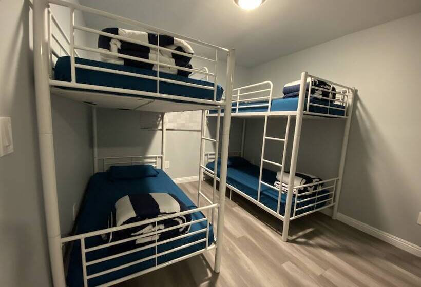 مبيت وإفطار Modern Hostel