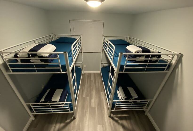 مبيت وإفطار Modern Hostel