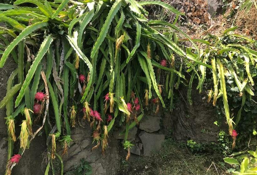 צימר Villa Grandiosa Fc