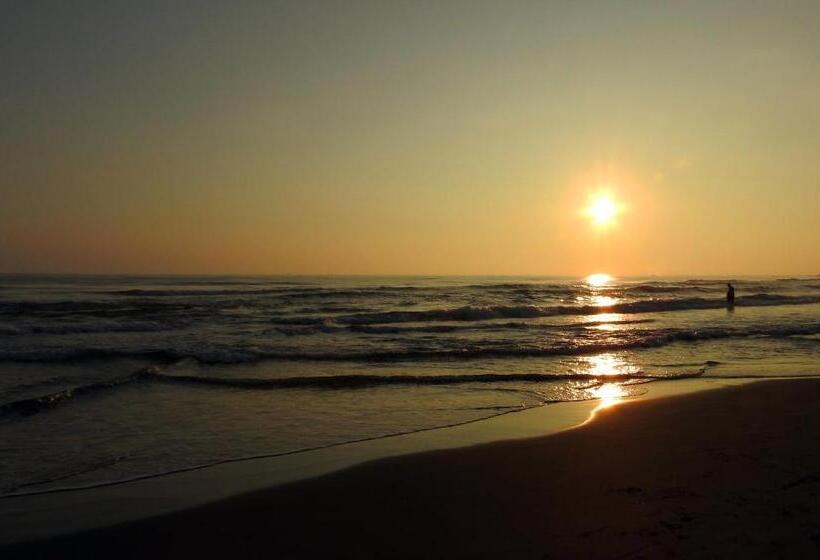 בית מלון כפרי Don Luis Hostal   Sucursal Hidalgo   Tecolutla