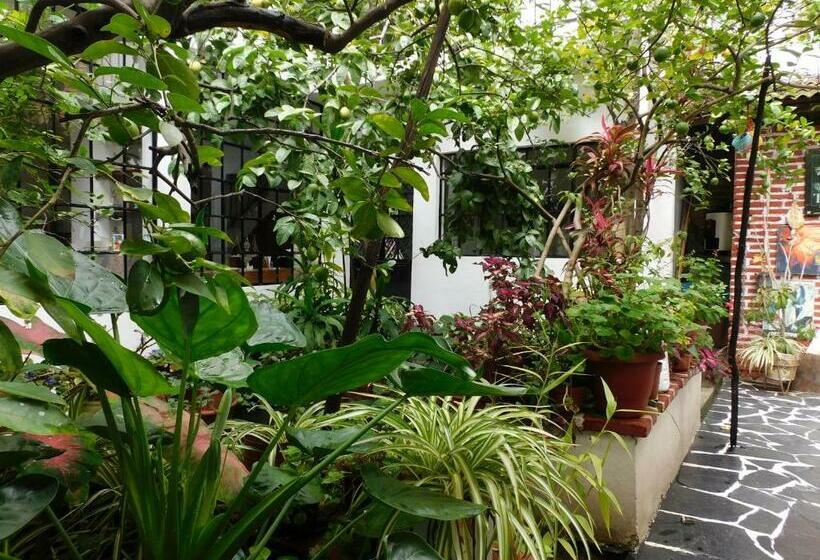 בית מלון כפרי Maria Bonita By Rotamundos