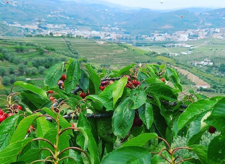 ホテル Quinta Casa Do Quintal