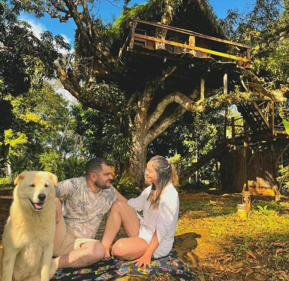 پانسیون Art Jungle Eco Lodge