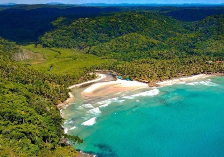 پانسیون Art Jungle Eco Lodge