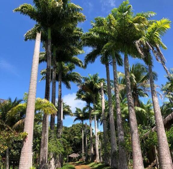 پانسیون Art Jungle Eco Lodge