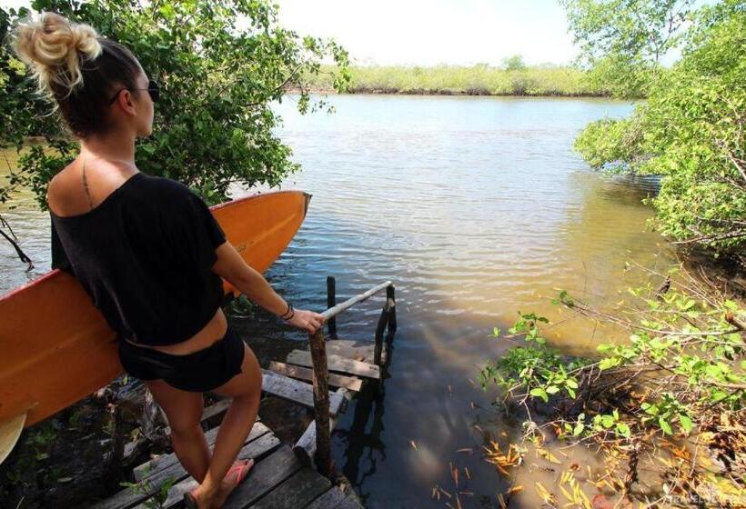 پانسیون Art Jungle Eco Lodge