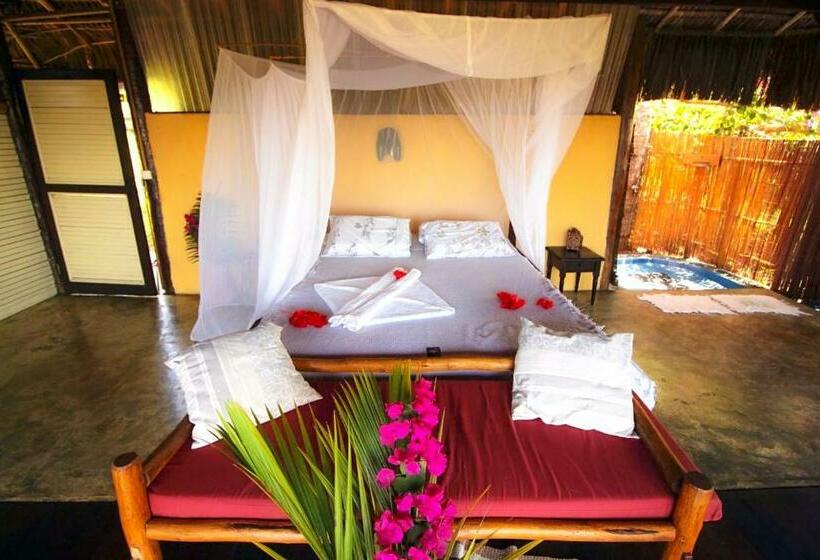 پانسیون Art Jungle Eco Lodge